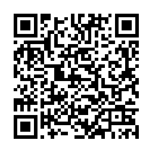 与上单霸主pdd相比起来那简直是一个天上一个地下二维码生成