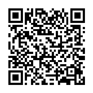 与人的战斗与野兽的战斗时时刻刻都有可能会发生二维码生成