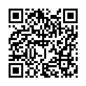 与他一般将绿叶叼在两排如贝的玉齿之上二维码生成