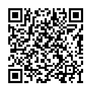 与全人类的生死存亡比起来都显得那样微不足道二维码生成