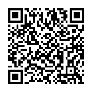 与其说是瑶光想到有要紧事需要急不可耐的去办二维码生成
