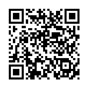 与其跟那些幸存者们抢一点点可怜的食物二维码生成