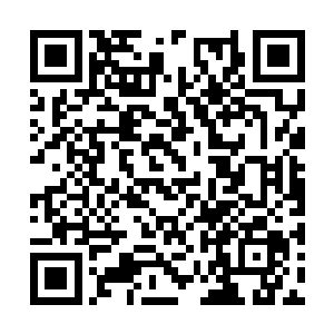 与卢八娘一起商量了发行新钱币的时间和一些问题二维码生成