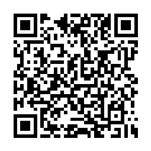 与对面距离光明神树根须只有丈许远的马面鬼怪二维码生成