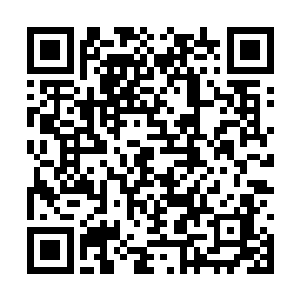 与少年侦探团对决的二十面相更符合怪的这个之言二维码生成