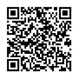 与当日在旭日峰珍宝楼一楼所见的那些宝贝相差无几二维码生成