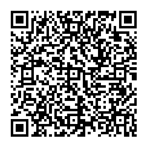 与智慧之神拉萨达玛亚琳音乐女神李念薇公主唐慕馨虫族女王张怡贵族江千雪科技宅林初音结为夫妇二维码生成