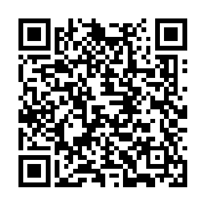 与朱平安他们形成鲜明对比的就是临淮侯府老夫人二维码生成