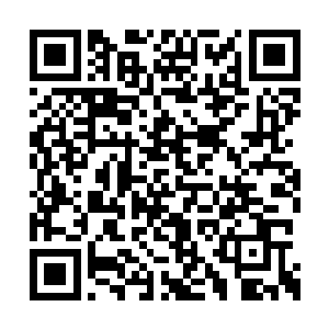 与楚枫的神级雷纹以及雷霆铠甲可谓是一模一样二维码生成