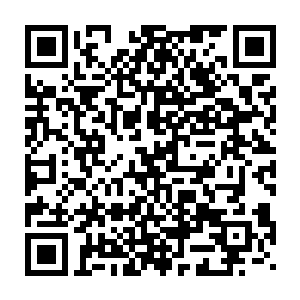 与此同时朱运的裂玉爪和虚明月的南天剑也先后落在了藏青锋背上二维码生成