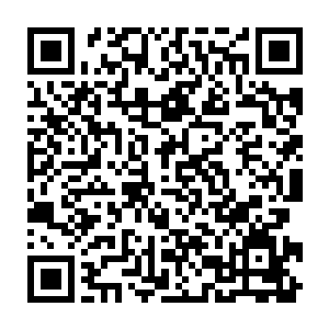 与此同时那压在怪物身上的巨型钢筋混凝土上也浮现出了一层浅浅的银色瘢痕二维码生成