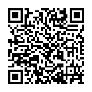 与白天时的逼问及烙下狠话相比已相当格格不入二维码生成