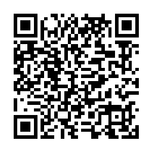 专司去找寻罗锅头和张铁蛋以及那几个中年人身影二维码生成