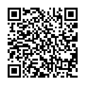 专家学者和冒险团队兀自沉浸在找到古墓入口的狂喜中二维码生成