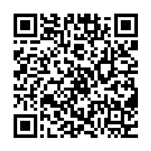 专门想在岩浆之中找别人藏在岩浆之中的密室之类的无聊之人二维码生成