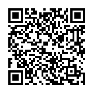 且一次又一次的向普通观众们科普国内近十年来电视的发展二维码生成