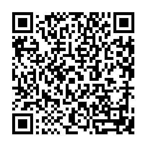 且不说你在未成年时期多次越过法律与道德边界的种种行为……单凭你暗中调查二维码生成