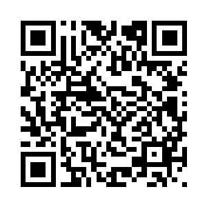 世上或许没有两片完全相同的树叶二维码生成