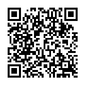 世子爷就越来越不像他所认识的那个深不可测的世子爷了二维码生成