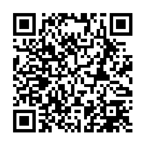世子爷这次这么会这么爽快把这巨额财宝分给公子凤一半二维码生成