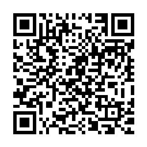 世界上最大的傻X才会带着两个女人独自驾船来走这个鬼地方呢二维码生成