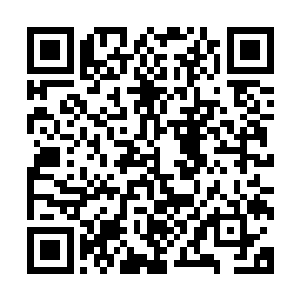 世界上没有任何一个国家的军人比德国人更了解中国虎的可怕二维码生成