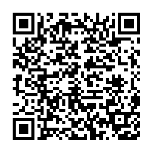 世界之树上生长出来的叶子――自然之叶中就蕴含了部分神术权限二维码生成