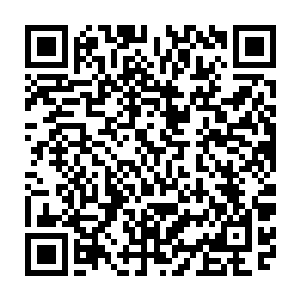 世界各国很多研究机构也成功研发出了用于各种疾病检测治疗的纳米机器人二维码生成