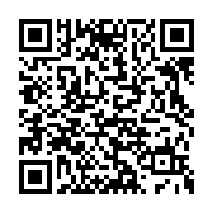 世界树并不是唯一一个贯穿多元宇宙位面的存在二维码生成