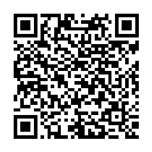 世界树的2448层到2700层是只有天堂酒店的客人才能尊享的楼层二维码生成