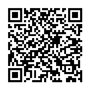 丛林女妖克洛伊和火山巨人木头都拥有传奇施法者的等级二维码生成