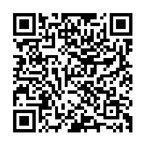 东亚战区的中国人把中南半岛南部用大当量氢弹炸成了一片白地二维码生成