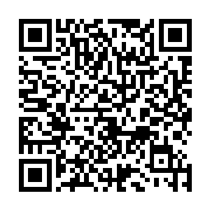 东华学院的学生看到南楚学院的教导主任被小克揍成熊猫眼二维码生成