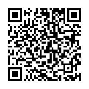 东南方的珍珠六港和鲈鱼港以及宝石湾和此地比起来二维码生成