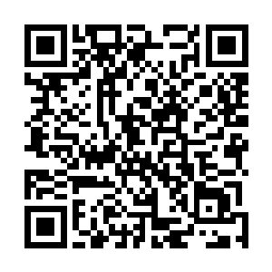 东厂提督杨永和御马监掌印太监江选在不远处默默地看着二维码生成