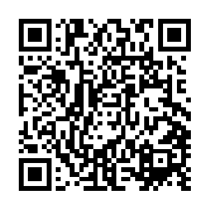 东岛一街和东岛末街是沈某带着一帮兄弟姐妹打下来的产业二维码生成