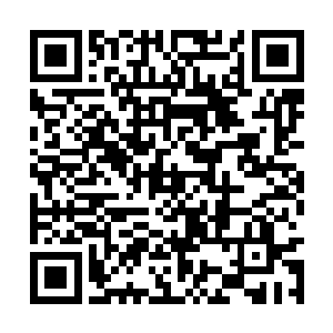 东方幽对于从小养大自己的师傅却还是十分尊重的二维码生成