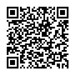 东方幽站住的地方是璃城里一座颇为宽大的空院子二维码生成