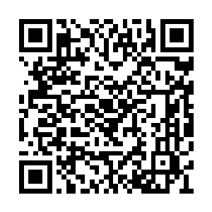 东方玄倒是没想到变异相思树会掌控古树的身躯二维码生成