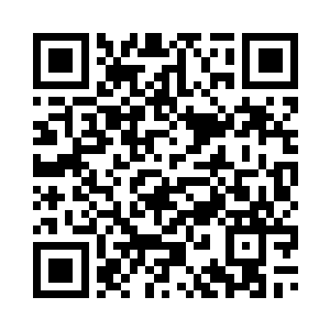 东方群域不管大小势力都会去关注二维码生成