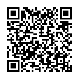 东海电视台从未直播过任何一场汪洋队主场的联赛二维码生成