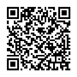 东海盘龙门有两套可以组合起来使用的拳脚武功二维码生成
