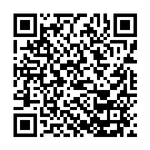 东海舰队除了配合陆上部队作战并承担物资输送的重任二维码生成