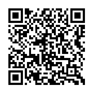 东皇道友从上面召唤下来的诛邪榜以及诛邪令吧二维码生成