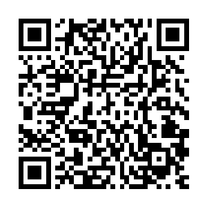 东翁说的时候那尴尬程度丝毫不弱于是一十八岁的小姑娘去表白二维码生成