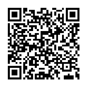 东阳世家与苏家可谓是有着不共戴天的血海深仇二维码生成