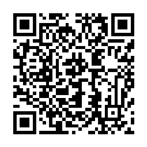 东黎墨就知道是秋意瑟可不会老老实实地接受自己的礼物的二维码生成