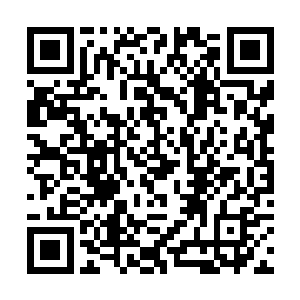 丝毫不理会凌空扑下的那条本在玄武背上缠着的巨蛇二维码生成