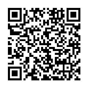 丝毫不理会身后气急败坏的问武能以及一脸尴尬的妖娆女子二维码生成