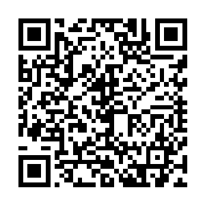 丝毫没有因为范用送了卫蘅这样一套笔而心下不舒服的意思二维码生成